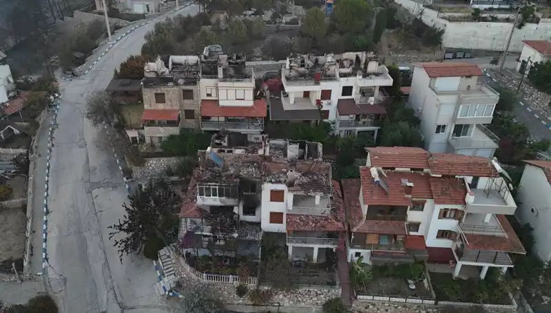 Orman Yangınları: Evler ve Doğa İçin Korkunç Sonuçlar