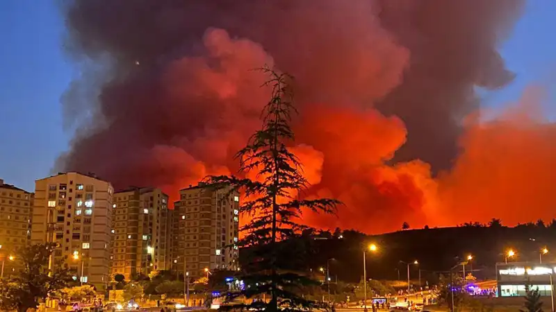 Bursa’da Yangın Korkusu: Şehir Yangınlarla Sarsılıyor!