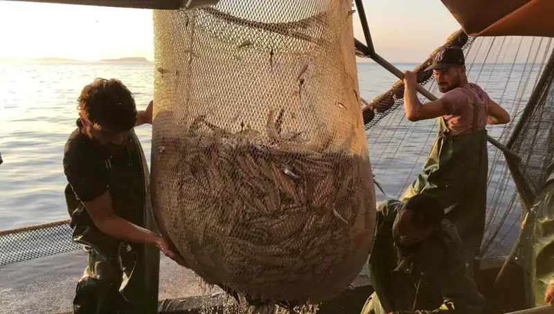 Balıkçılar Neden Paydos Ediyor? İhlal Edenlere Binlerce Lira Ceza Uygulanıyor