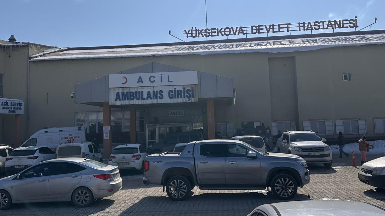 Hakkari'de Başıboş Köpeklerin Saldırdığı Çocuk Öldü