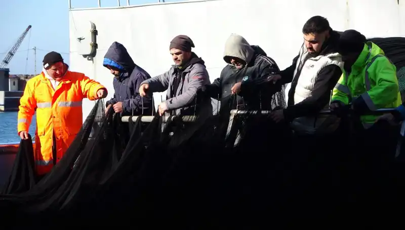 Hamsi Balığı Avında Şok Gelişme: Tekneler Erken Paydos Etti