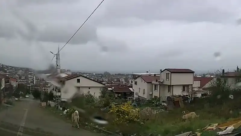 Sahipsiz Köpeklerin Saldırısı: 5 Yaşındaki Çocuk Yarasıyla Hayatını Değiştirdi