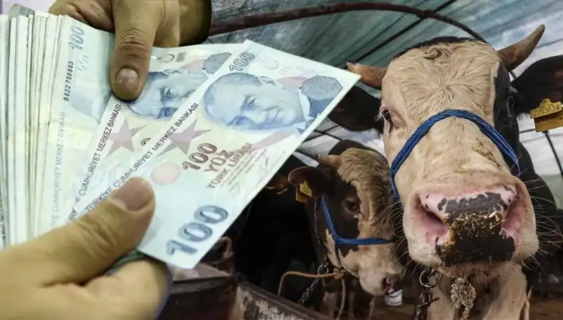 Kurban Bayramı Öncesi Emekli ve Memur Maaşları Hakkında Kritik Gelişme!