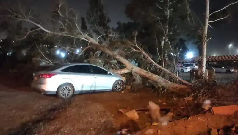 Hatay'da Şiddetli Fırtına: Tekneler Alabora Olup Ağaçlar Devrildi