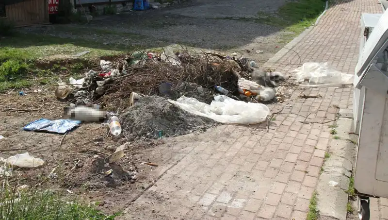 Antalya’da Kedi Vahşeti: 10 Kedi Ölü Bulundu, Soruşturma Başlatıldı