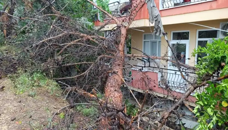 Yağmur Sonrası Felaket: Bina Çöktü, Hayat Kayıpları Yaşandı!