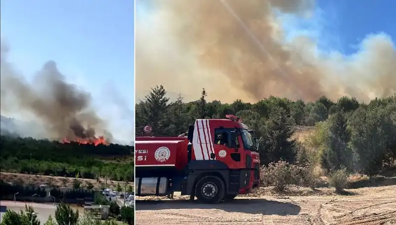 Gebze'de Korkutan Orman Yangını: Ekipler Sevk Edildi, Yangının Sebebi Araştırılıyor!