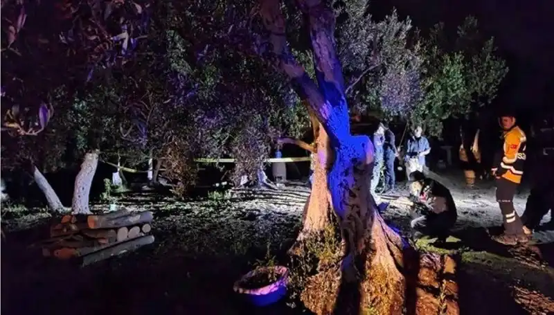 Çiftlikte Baltalı Vahşet: Olayın Ardındaki Sırrı Çözmek İçin İlk Tutuklama Yapıldı