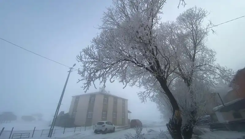 Göle'de Eksi 18 Dereceyi Gören Soğuk Hava Dalgası Etkili Oldu