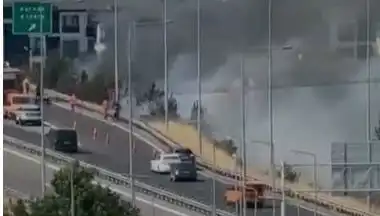Anadolu Otoyolu'nda Sigara İzmaretinden Korkunç Yangın: Detaylar
