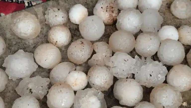 Şanlıurfa'da Mevsim Dışı Dolu Yağışı: Kar Topu Büyüklüğünde Zarar!