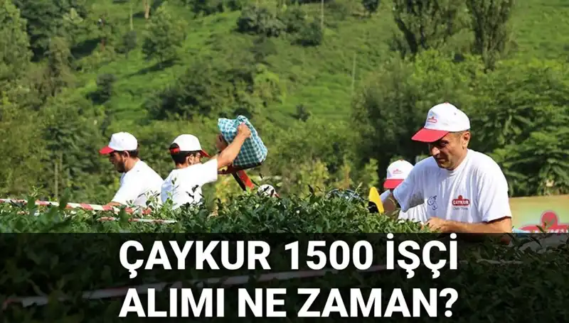 Çaykur İşçi Alımı İçin Son Başvuru Tarihleri Açıklandı