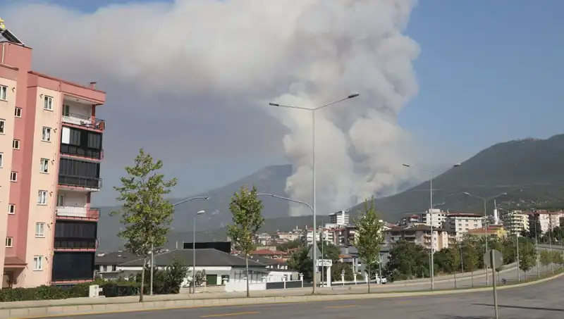 Denizli'de Orman Yangını: Bir Şüpheli Gözaltına Alındı, Detaylar Geliyor