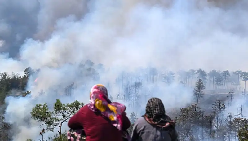 Bursa'daki Yangınlar Söndü, Hava Kirliliği Sorunu Sürecek