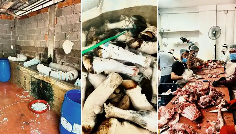 Adana'da Sağlık Gözetiminde Şok: Yüzlerce Kilo Nefes Kesici Paça Ele Geçirildi!
