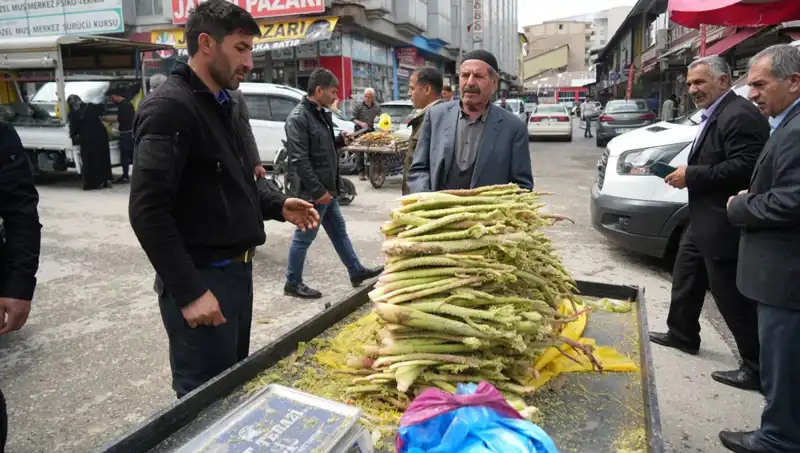 Dağlık Alanların Doğal Şekerleri: Sağlık Faydaları ve Toplama Süreci
