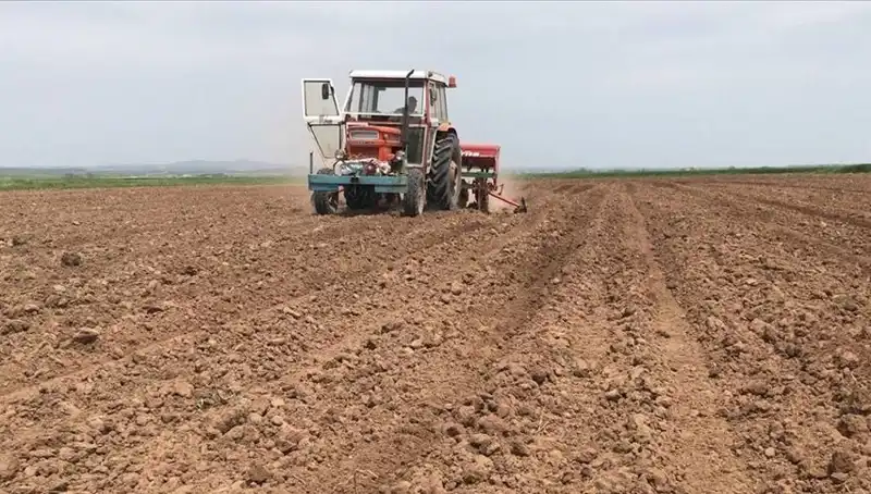 Son 35 Yılda En Kurak Mart Ayı: Yağış Miktarında Şok Düşüş