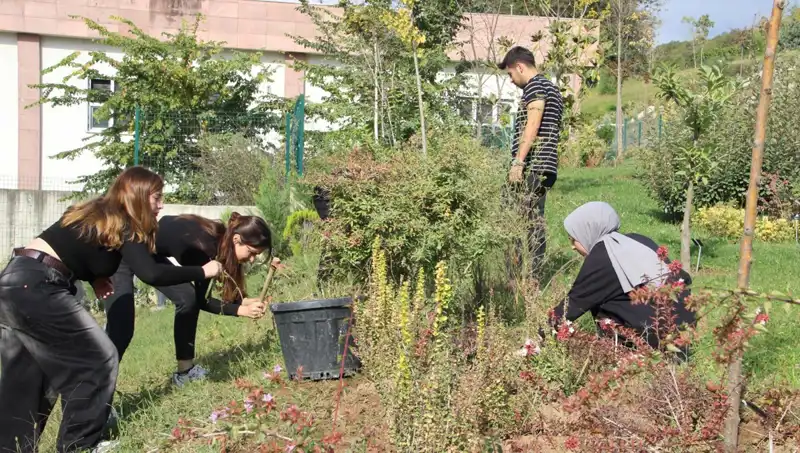 Düzce'nin Fıstıkları, Dünyayı Sarhoş Edecek Yenilikçi Proje ile Hızla Yükseliyor!