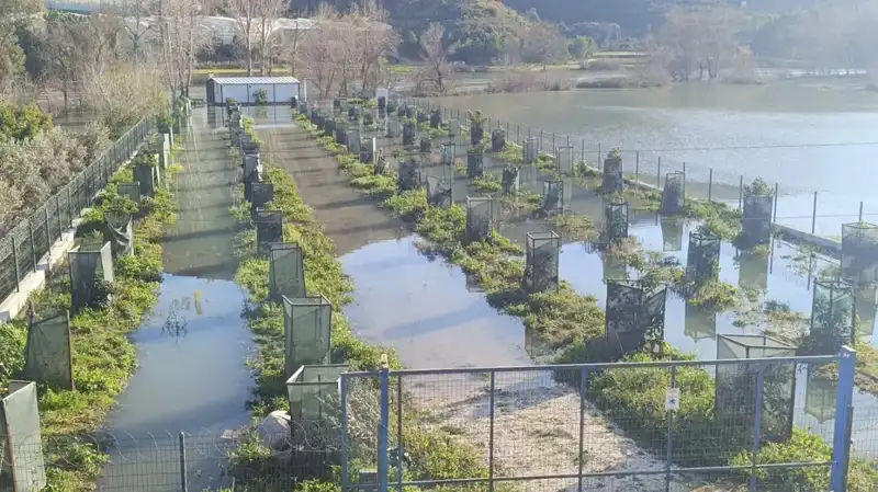 Irmak Taşınca Otoyol Şantiyesi Sular Altında Kaldı: Olayın Ayrıntıları