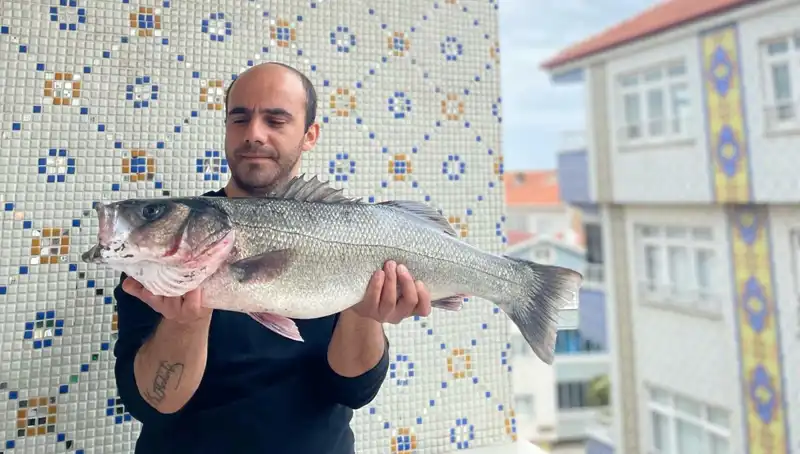 ** 7,5 Kiloluk Dev Levrek: Balıkçıların Hayalini Gerçekleştiren Rekor Av!