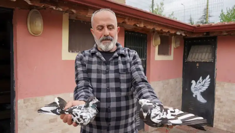 42 Yıllık Hobiden Profesyonel Tesise: Yılların Birikimi İl Dışından Talep Görüyor