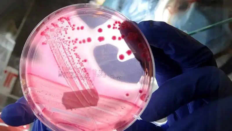 Bilim İnsanları AP2A1 Proteinini Baskılayarak Yaşlanmayı Geciktiriyor